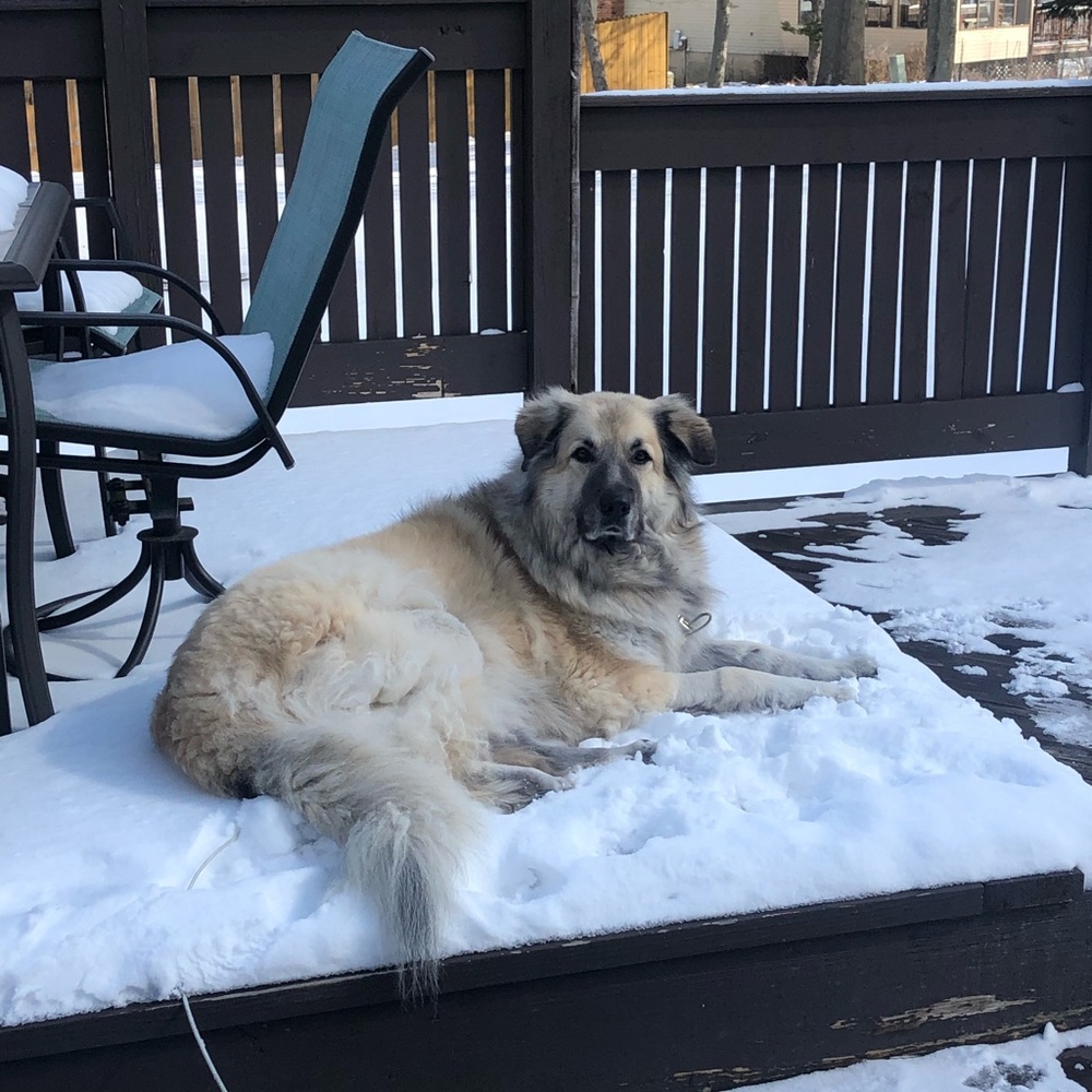 Meet your Posher, Stacy